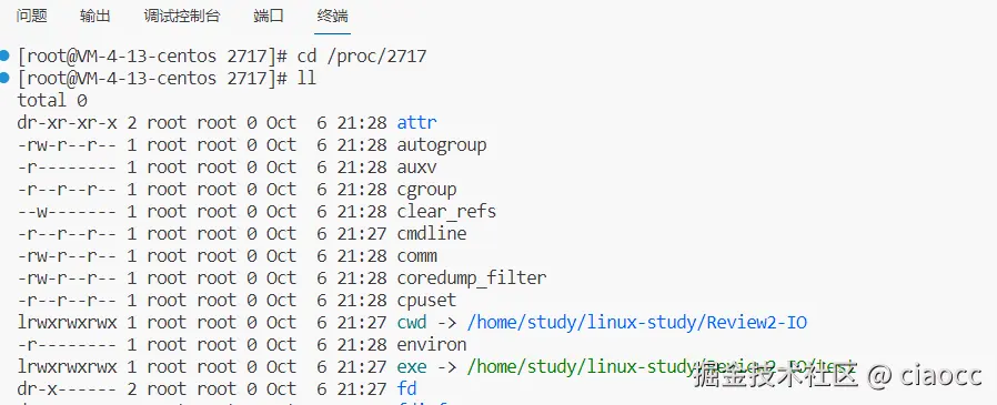 image-20231006213102614
