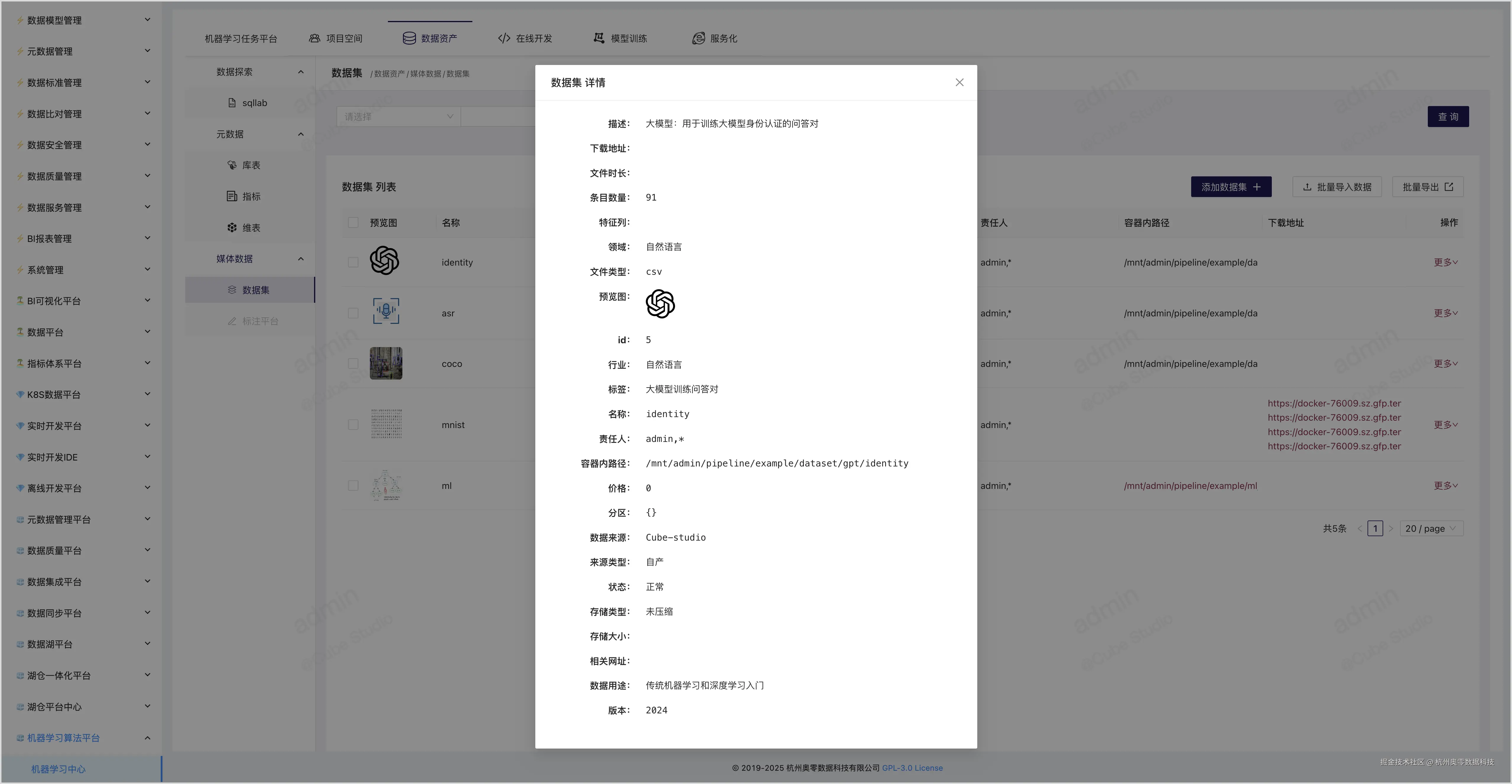 31、数据集详情.jpg
