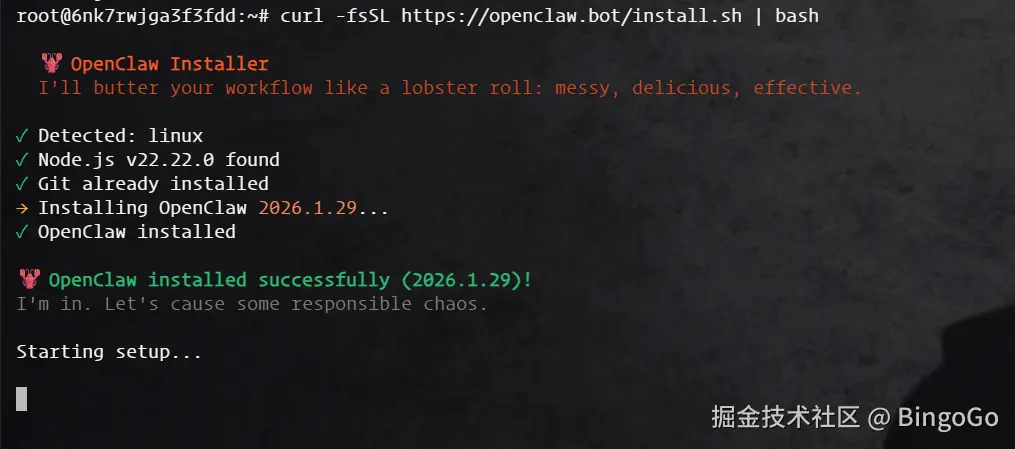 OpenClaw 钉钉教程 - 安装过程初始化界面