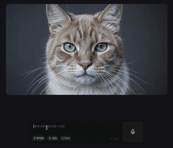 3-猫咪.gif