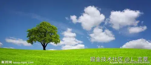 6.webp