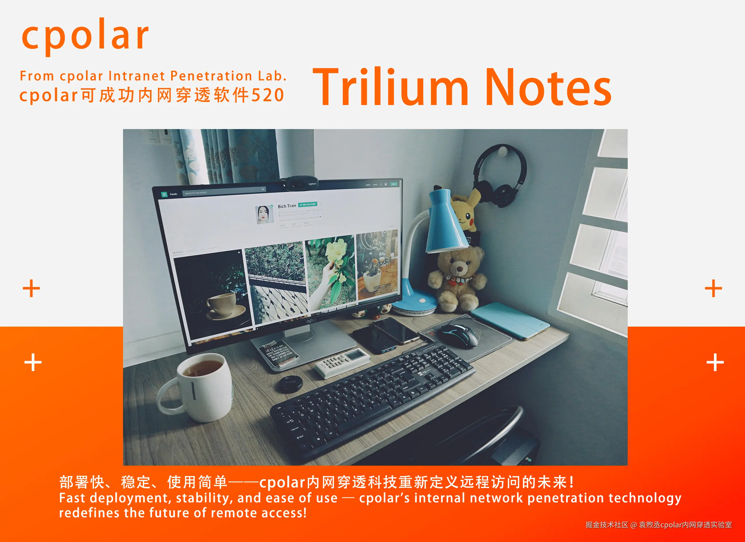 NO.520 Trilium Notes-05.jpg