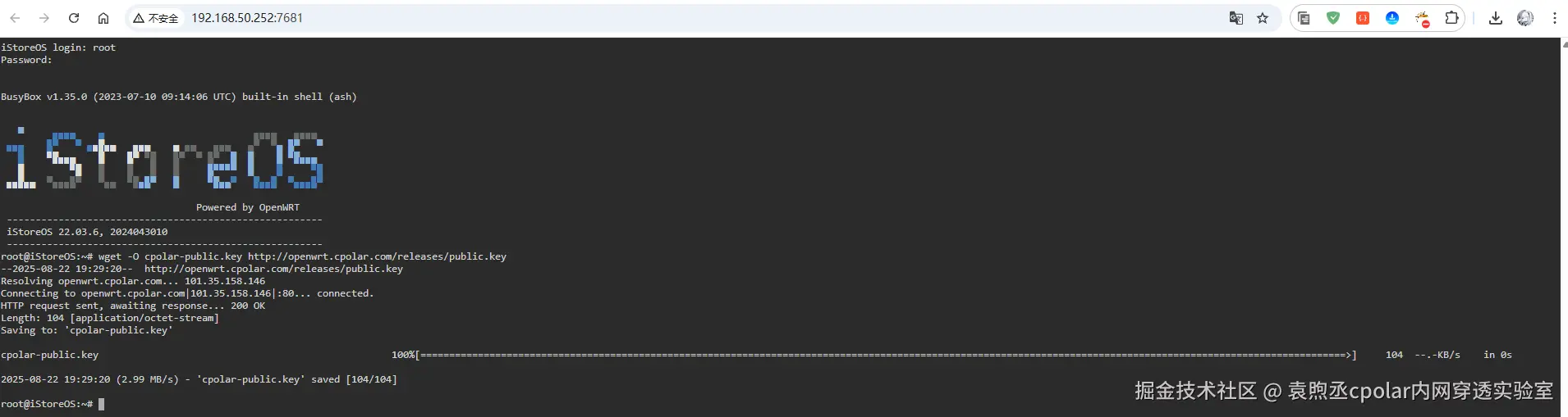 image-20250822193010314