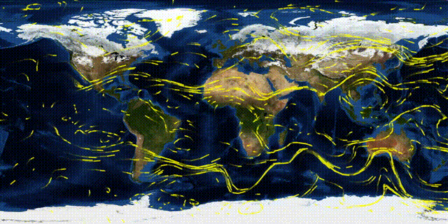 20241102_214148.gif