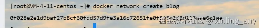 image-20240823142048662