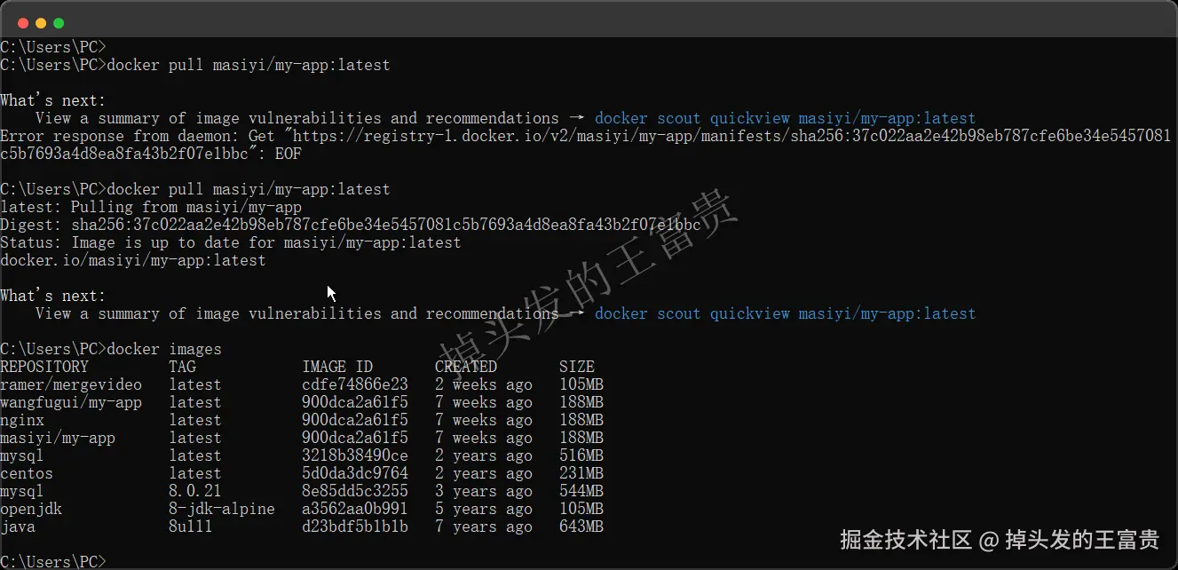 image-20240815201806719