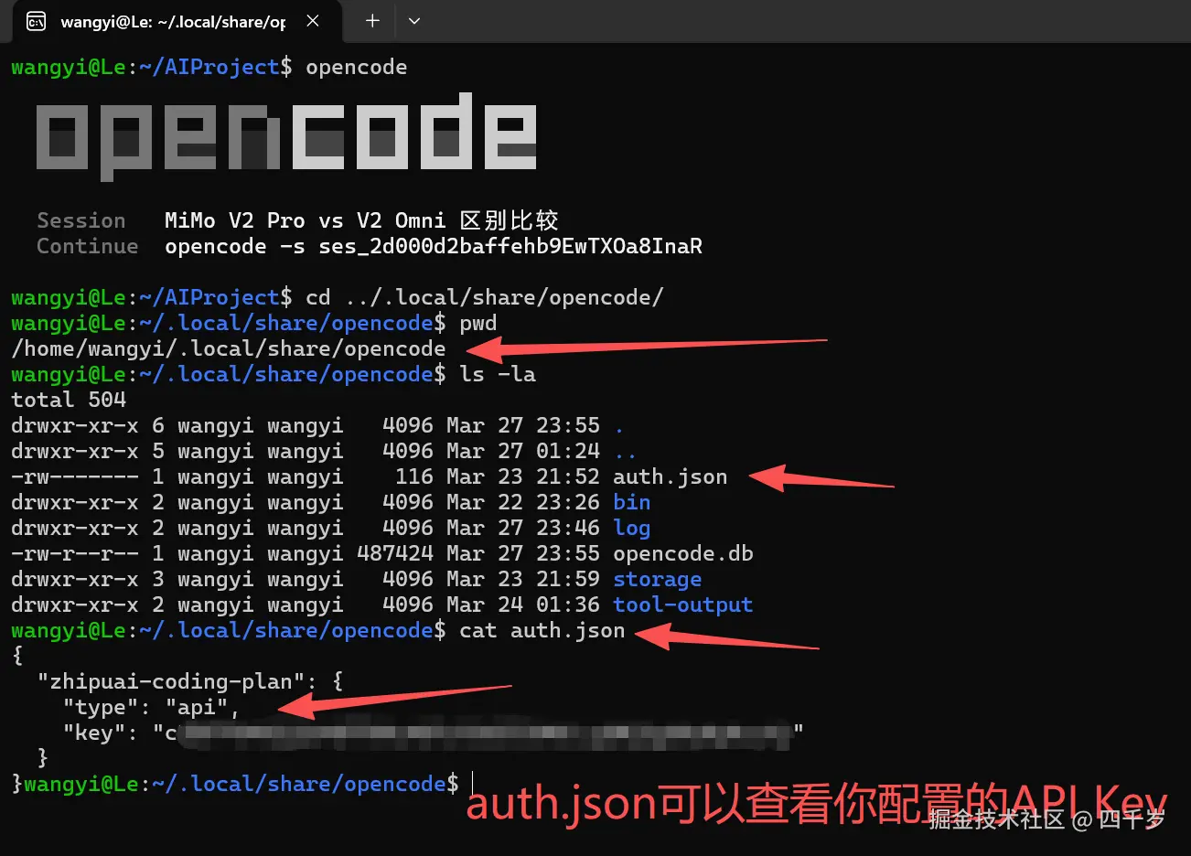 查看你自己配置的API Key
