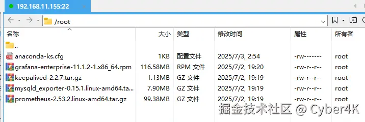 image-20250702192018895