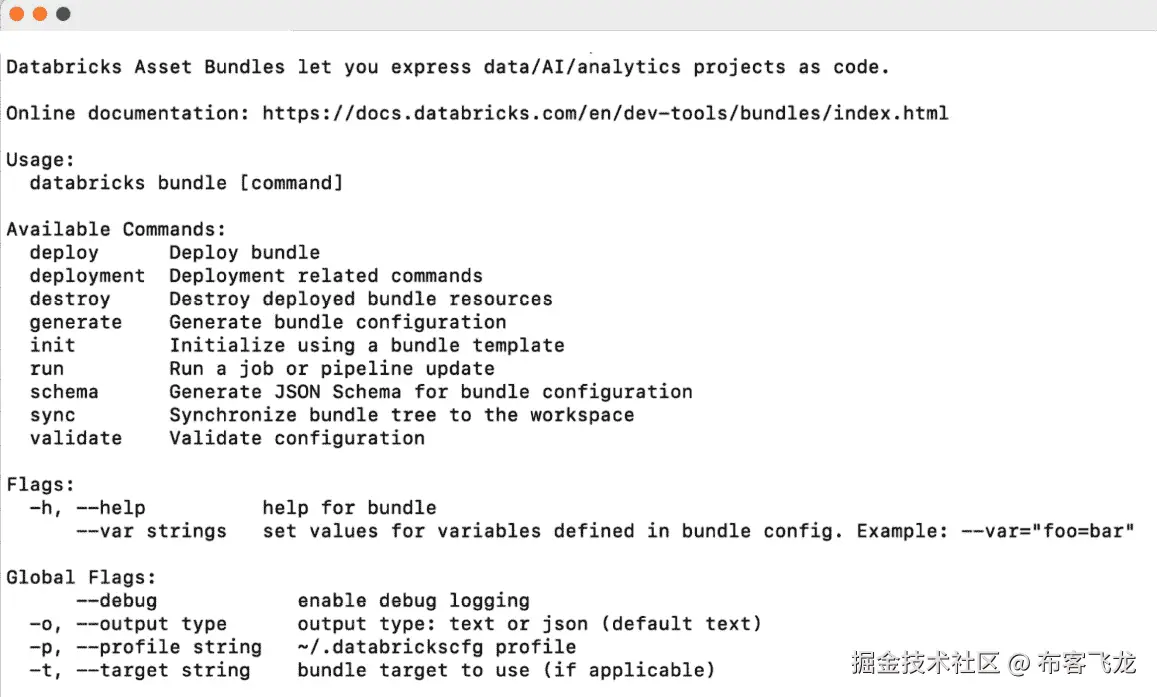 图 9.3 – Databricks CLI 中 bundle 命令的手册页