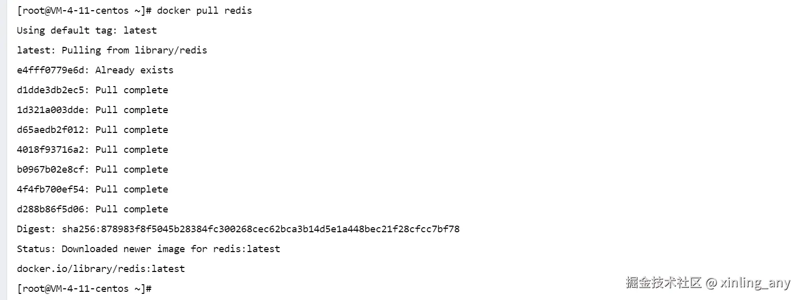 image-20240821101947185