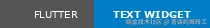 Flutter Text Widget