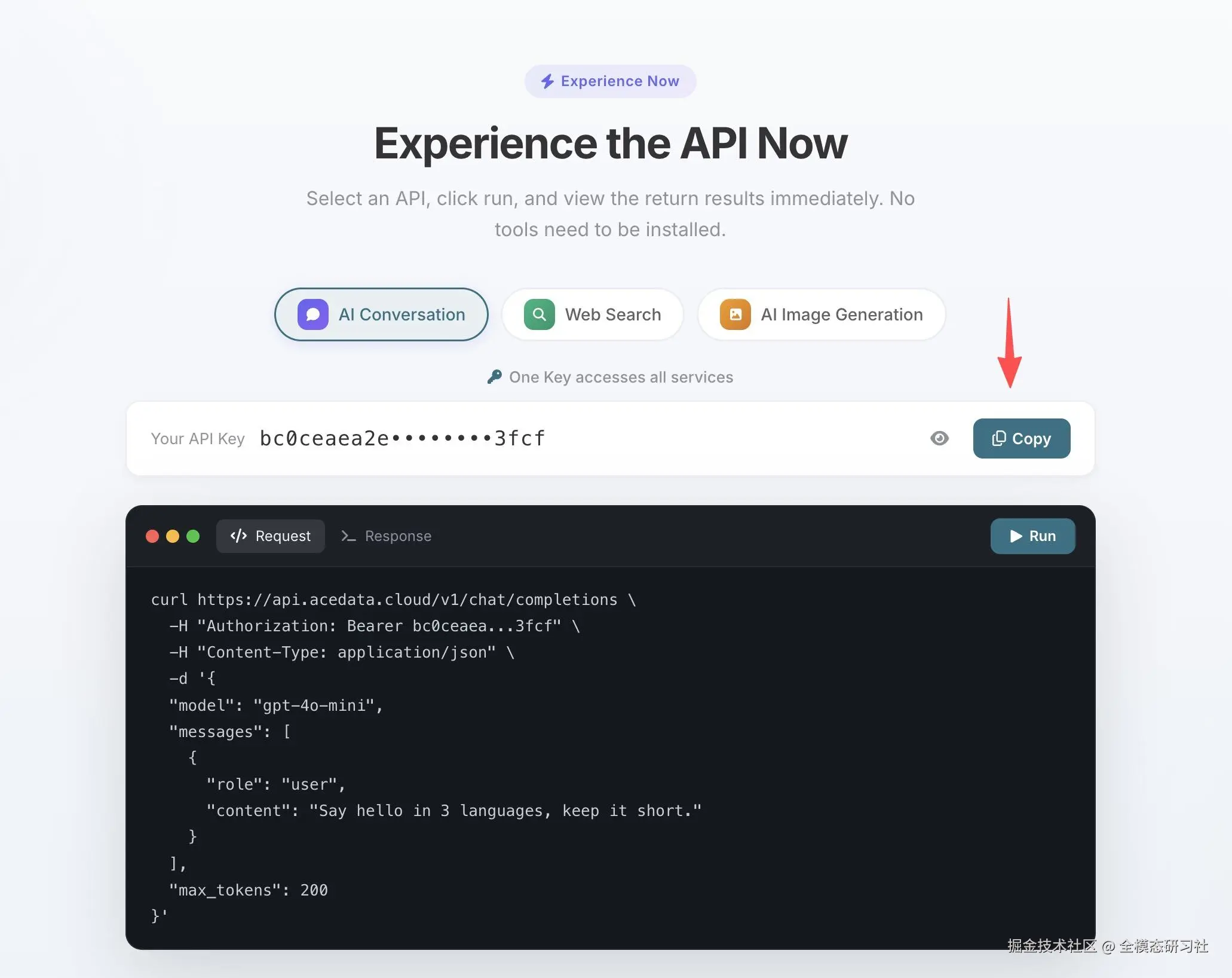 AceData Cloud 平台首页 Token