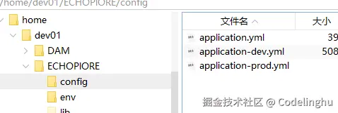 image-20240801111614024