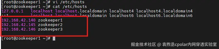 image-20251204155338255