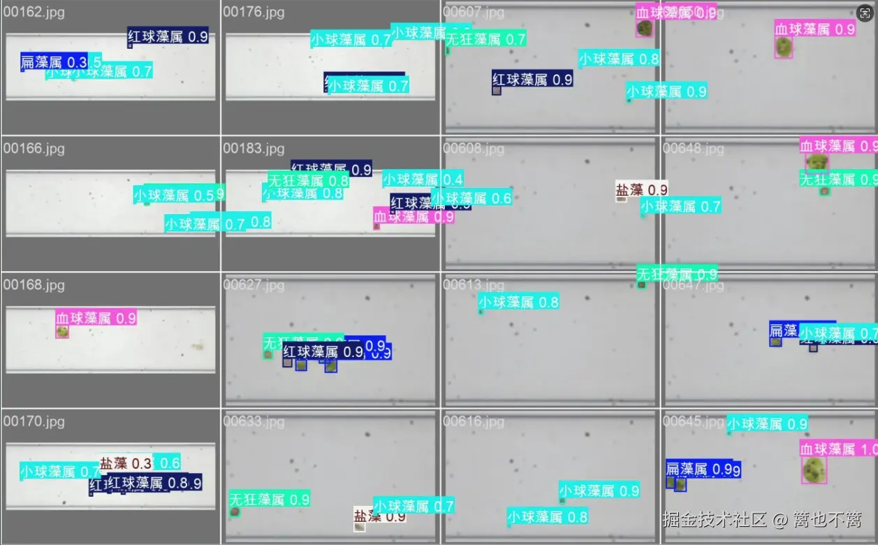 image-20250729201036336