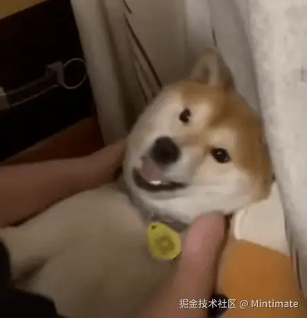哇哇哇.gif