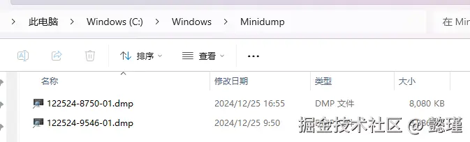 image-20241225175541253