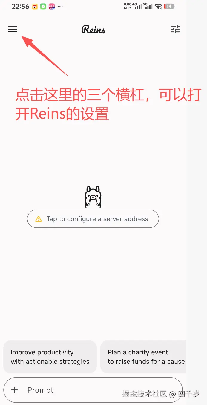 打开Reins的设置界面