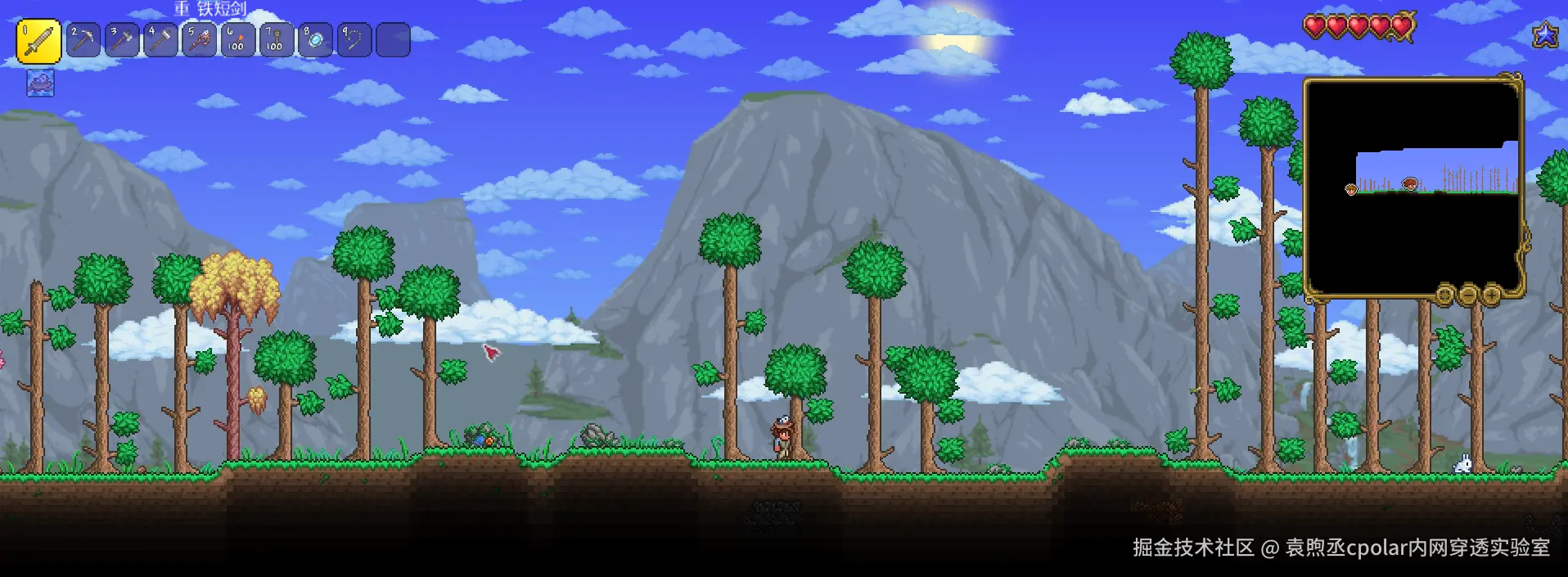 image-20240417192123351